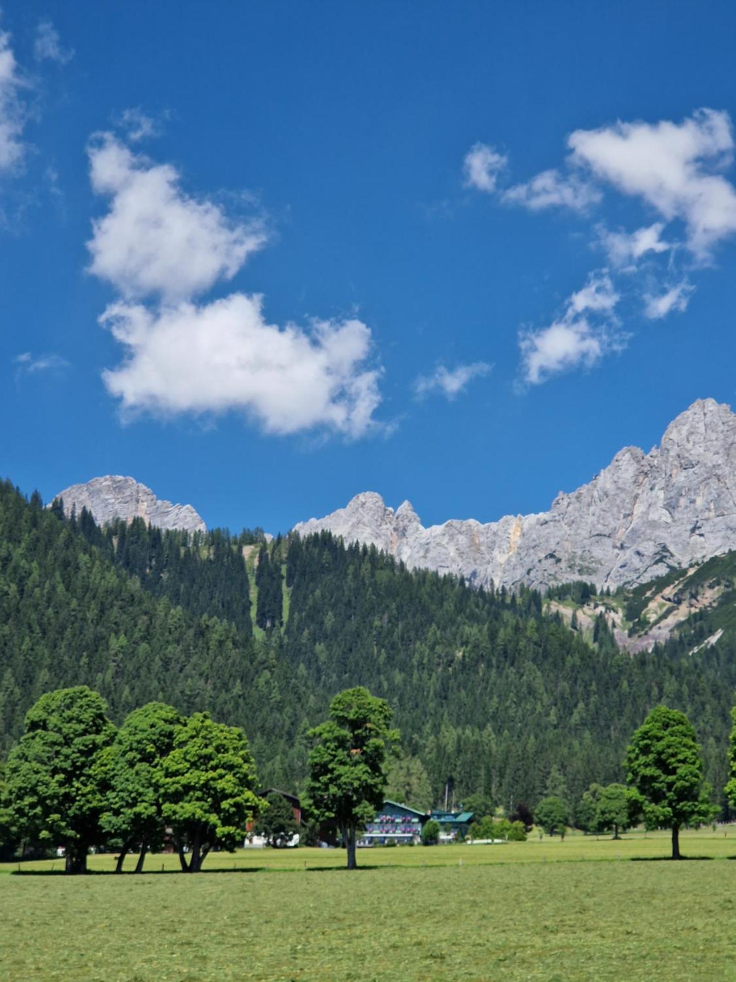 Family Appartment - Dachstein View Рамзау-ам-Дахштайн Екстер'єр фото